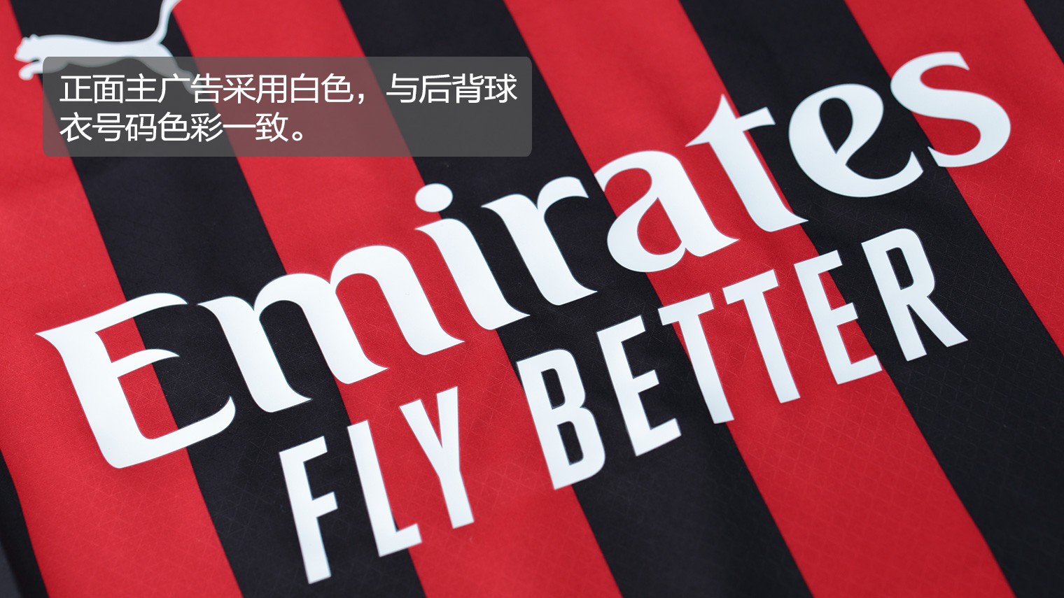 埃迪·豪：纽卡表现配得上晋级，渴望能够再次赢得奖杯（埃迪·豪：纽卡晋级实至名归，盼再度捧杯）